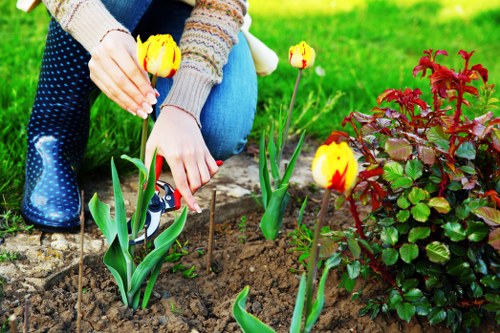 Gloved hands planting a young shrub