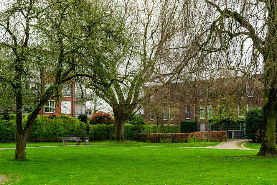 A person wearing a light green jacket, black trousers, and red earmuffs is engaged in garden maintenance, using a leaf blower on a grassy area under a large, leafy tree. The scene features well-kept l